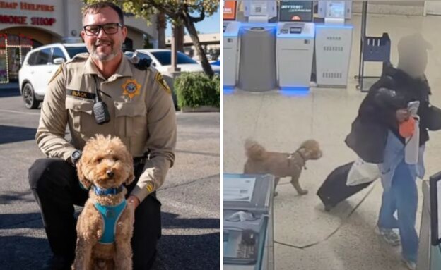 הכלב שאומץ אחרי שננטש (צילום: 27א')