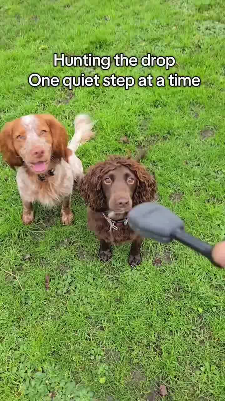 תעצרו הכל, זה ה-POV הכי טוב שתראו היום