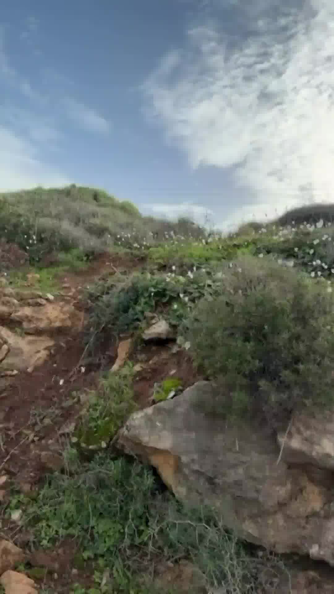 היום מעונן חלקית, ירידה בטמפרטורות בעיקר בהרים ובפנים הארץ. בצפון צפוי טפטוף/גשם מקומי ‏קל