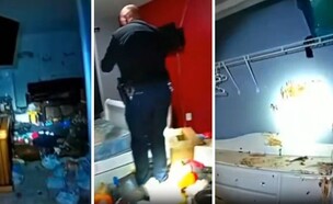 פלינט מישיגן (צילום: מתוך הרשתות החברתיות בהתאם לסעיף 27א' בחוק)