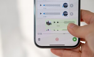 וואטסאפ, לוגו וואטסאפ (צילום: Mitriakova Valeriia, shutterstock)
