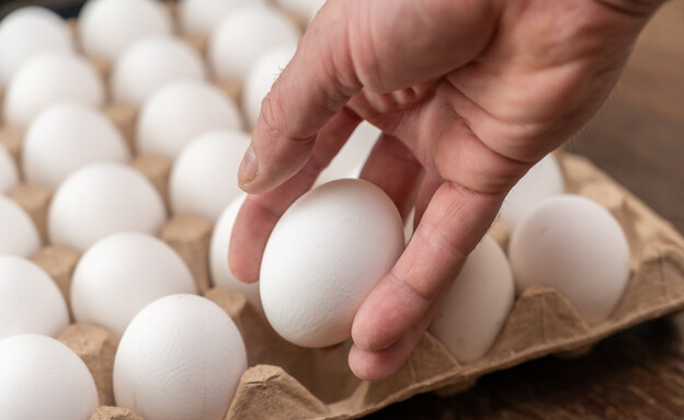 ביצים ביצים