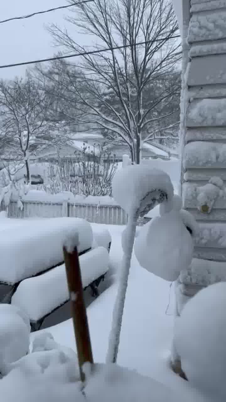 שלג כבד יורד הבוקר בניו יורק
