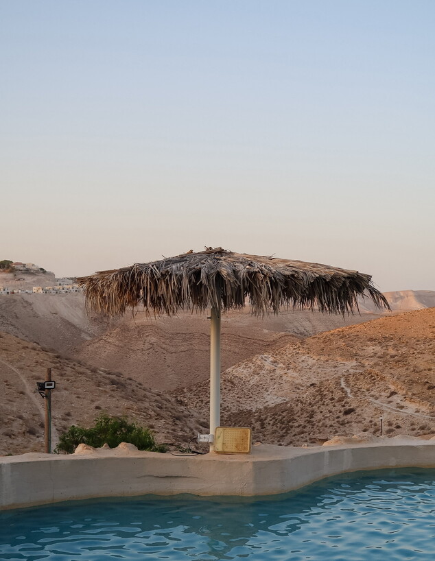 עיצוב מדברי ארץ הצבי בנייה דוד דודסון ג