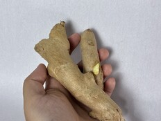 ג'ינג'ר (צילום: shutterstock_CSPME) ג'ינג'ר (צילום: shutterstock_CSPME)