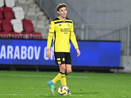 (ברני ארדוב)