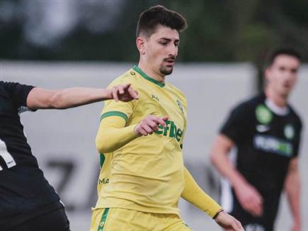 (הפייסבוק הרשמי של לודוגורץ) (צילום: ספורט 5)