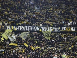 (אלן שיבר) (צילום: ספורט 5)