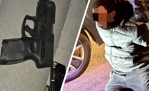 מעצר החולייה (צילום: דוברות המשטרה)