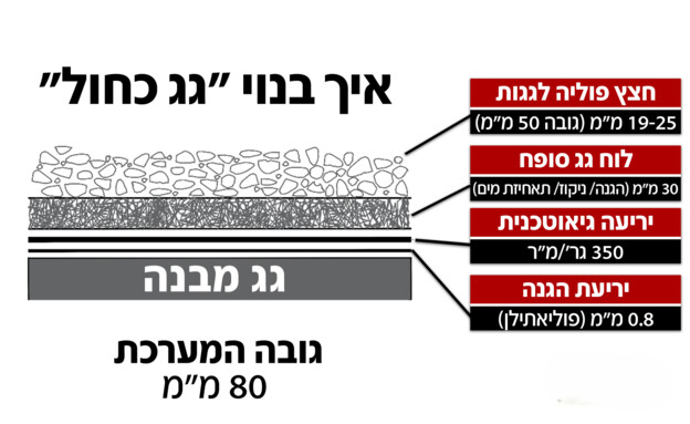 תרשים של "גג כחול" מחברת "בניין צומח" תרשים של "גג כחול" מחברת "בניין צומח"