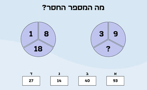 חידת השלמת המספרים (איור: הפרופסור הלא המפוזר)