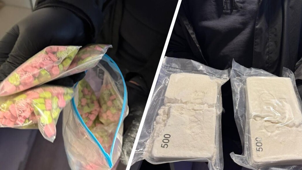 הסמים שנתפסו הסמים שנתפסו