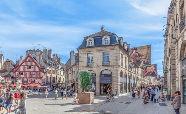 מבנים דיז'ון צרפת רחוב מבנים דיז'ון צרפת רחוב