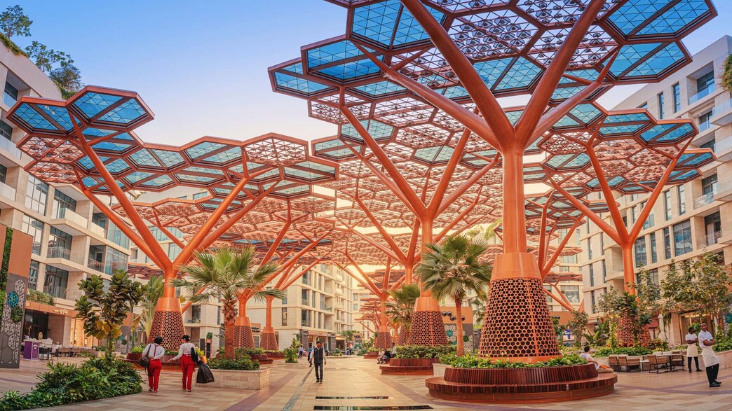 היער הממוזג