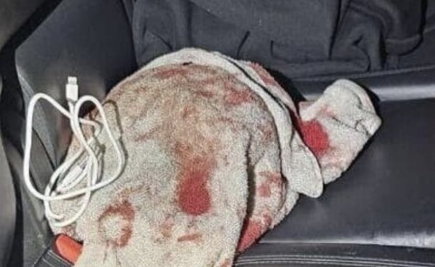 תיעוד ניסיון החטיפה תיעוד ניסיון החטיפה