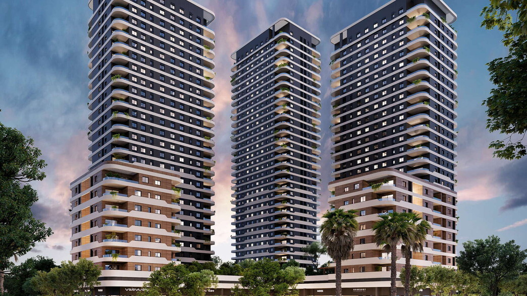 בת גלים צמח המרמן בת גלים צמח המרמן