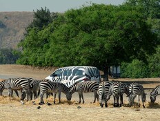 הספארי ברמת גן