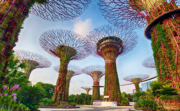 גרדן ביי דה ביי