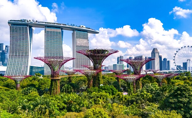 ראשי (צילום: monticello, shutterstock)