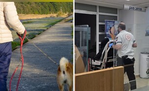 ניצל בנס (צילום: כללית/ieppei)