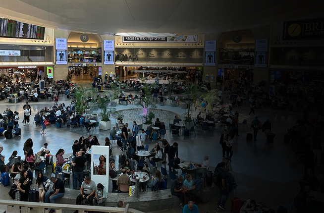 סקר הדיוטי פרי (צילום: shutterstock_Davidi Vardi)