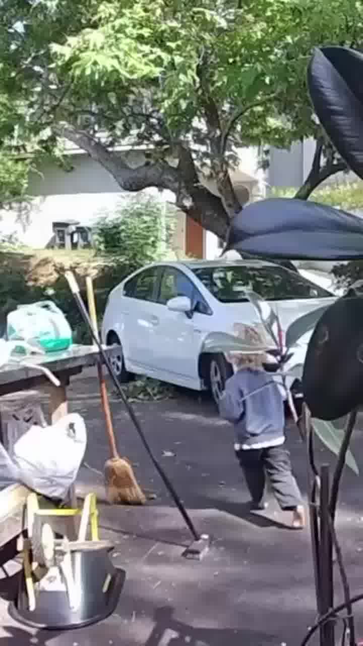 מה ביפביפ היה עושה? זאב ערבות רדף אחרי יחד בן 3 בקליפורניה