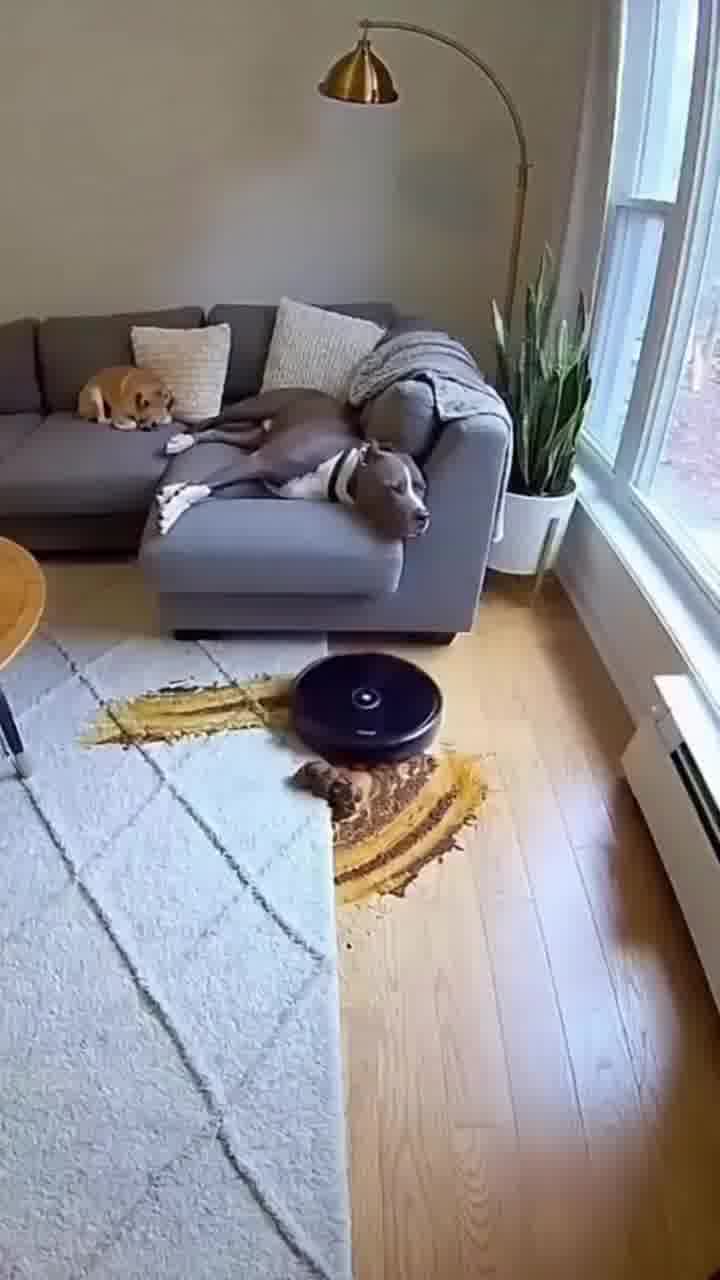 אוי ואבוי. באמת. אין לנו שום דבר אחר לכתוב כאן חוץ מאוי ואבוי