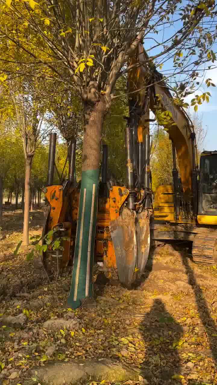 כמה סיפוק אפשר לקבל מצפייה בסרטון אחד
