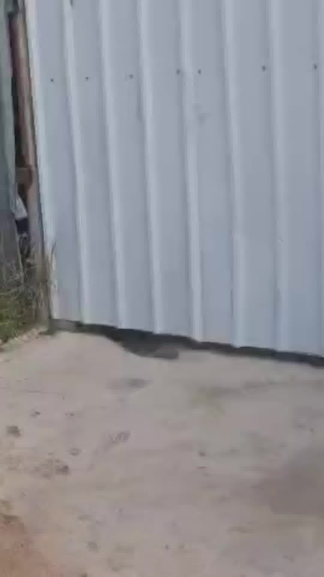 במתחם במושב יגל נתפסו כ-350 ק"ג של חומר החשוד כסם מסוג קנאביס