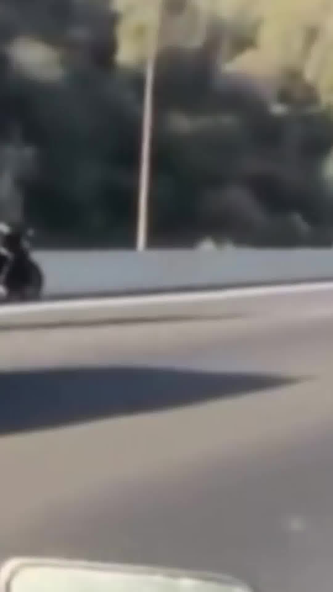 הסטורי שהפך לראיה: נסע עם רכב על הגלגל האחורי לפני ניידת משטרה - ונחת בחדר החקירות