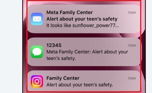 התראה אינסטגרם (צילום: instagram)