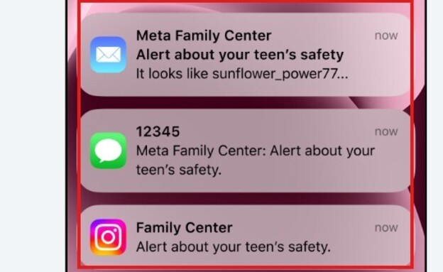 התראה אינסטגרם (צילום: instagram)