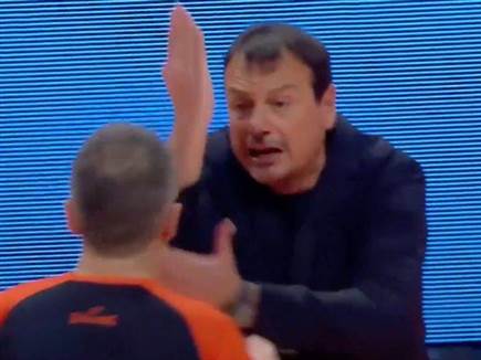 sportFive1681354 sportFive1681354