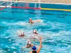 (איגוד הכדורמים) (צילום: ספורט 5)