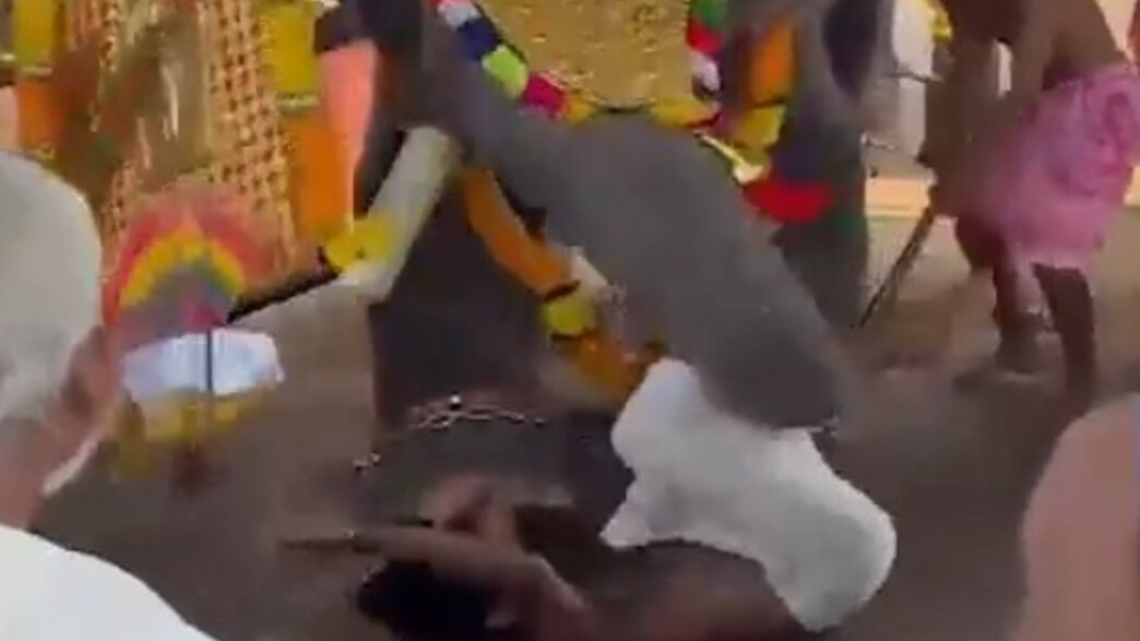 הפיל שתקף הפיל שתקף