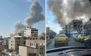 שה (צילום: מתוך תיעוד שעלה ברשתות החברתיות, שימוש לפי סעיף 27א' לחוק זכויות יוצרים)