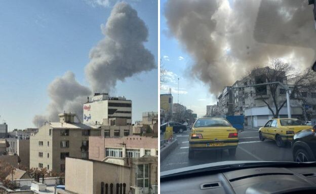 שה (צילום: מתוך תיעוד שעלה ברשתות החברתיות, שימוש לפי סעיף 27א' לחוק זכויות יוצרים)