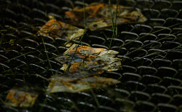 שטרות שנפלו ממטוס שהתרסק בבוליביה שטרות שנפלו ממטוס שהתרסק בבוליביה