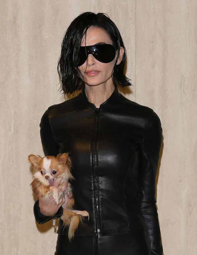 הקארה של דמי מור