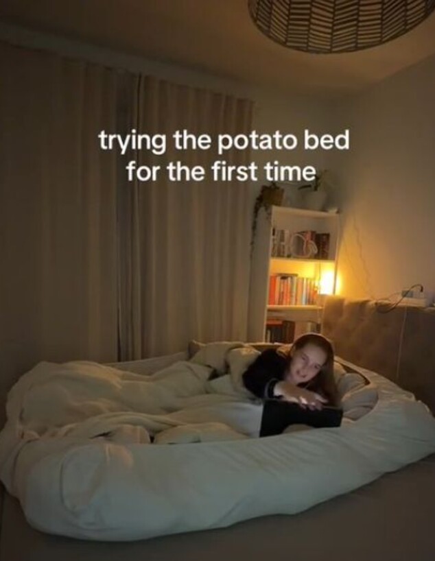 מיטת תפוחי אדמה