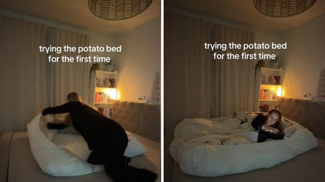 מיטת תפוחי אדמה