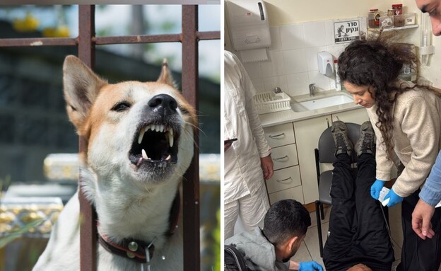 ננשך בדרך לממד