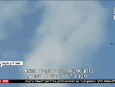 20guyhizballavtr_vtr2_n20260304_v1 (צילום: חדשות)