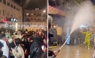 גרניק בשירות המשטרה