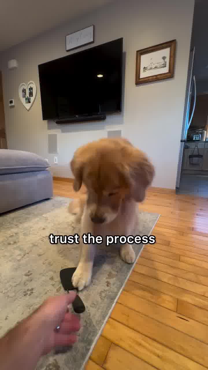 ההשקעה משתלמת | אילוסטרציה 