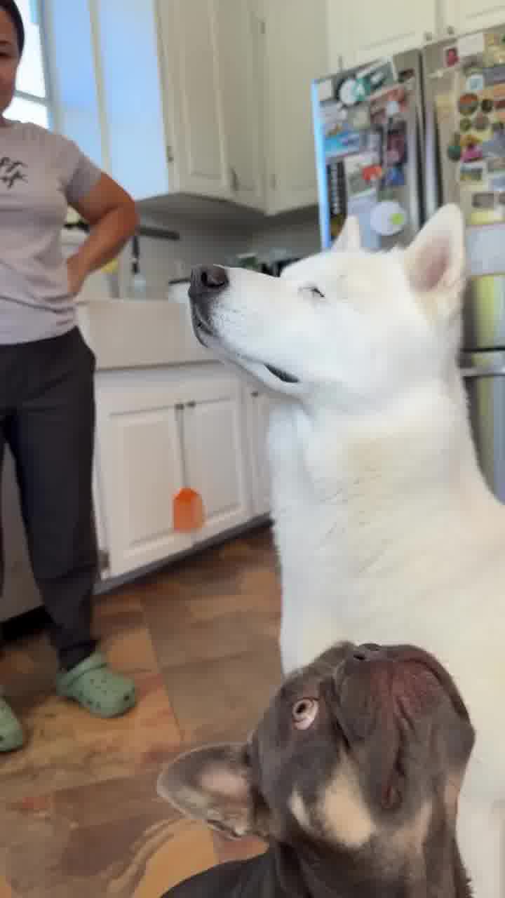 "תאמין לי, אף אחד לא ישים לב"