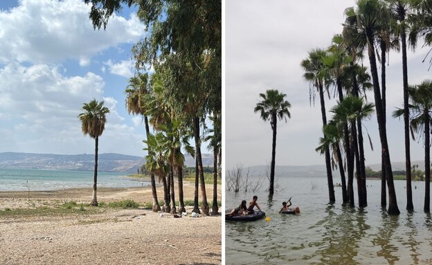 נסיגת הכנרת (צילום: איגוד ערים כנרת)
