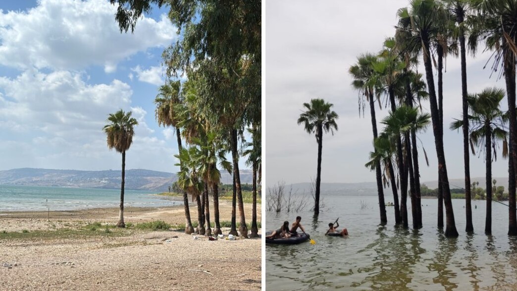 נסיגת הכנרת