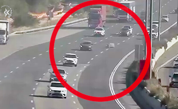 אכיפה משטרתית "שאגת הארי"