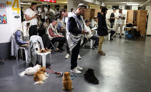 חגיגות פורים במרחבים מוגנים ברחבי הארץ (צילום: חיים גולדברג, פלאש 90)